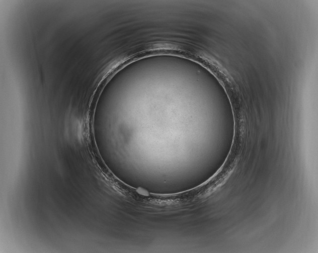 X0000116881121200912221420