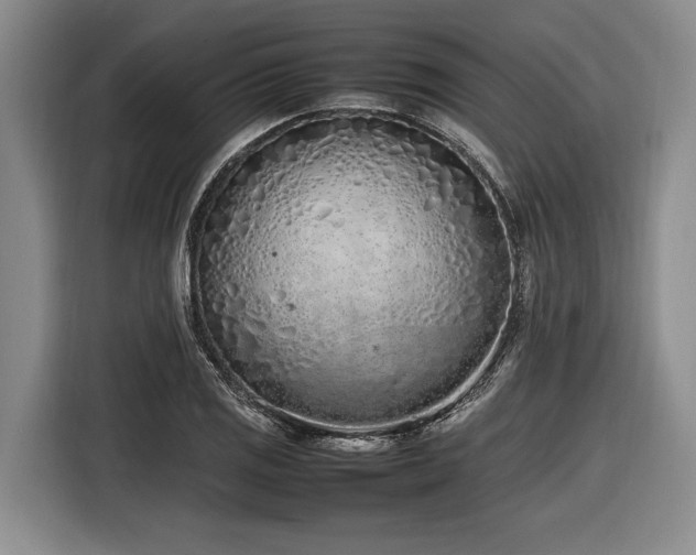 X0000116881125200912221420