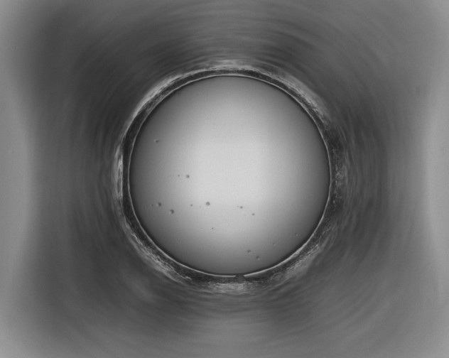 X0000116881126200912221420