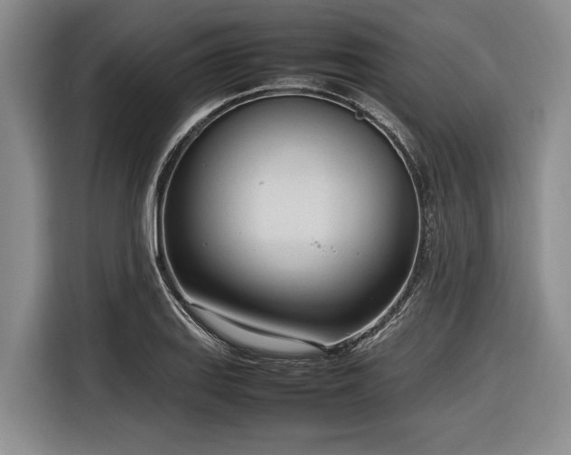 X0000116881127200912221420