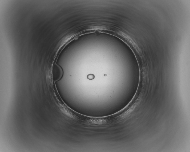 X0000116881129200912221420
