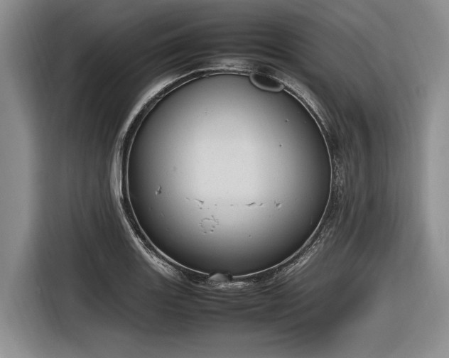 X0000116881131200912221420