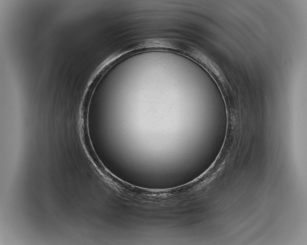 X0000116881133200912221420