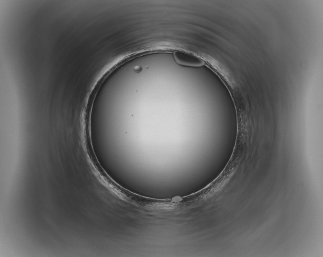 X0000116881134200912221420