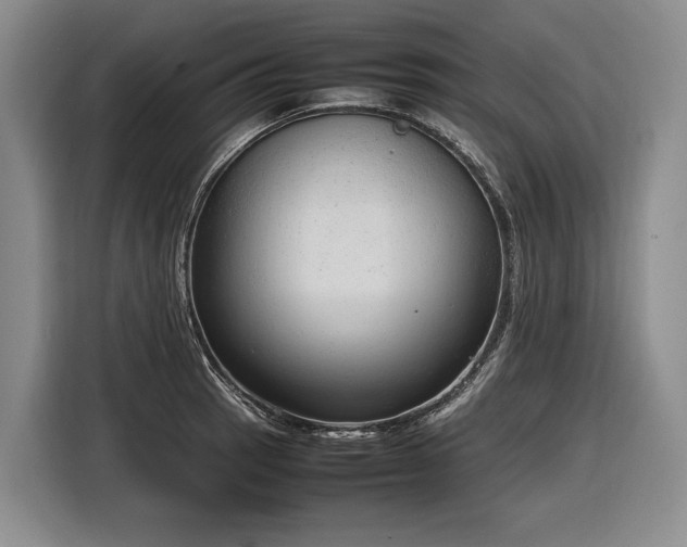 X0000116881137200912221420