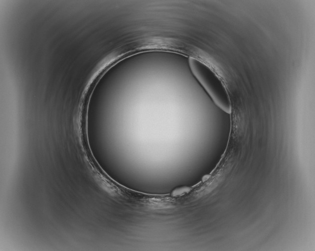 X0000116881138200912221420