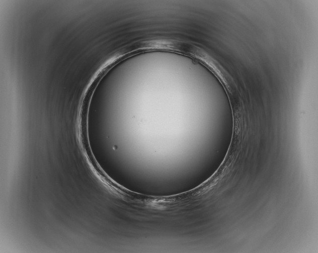 X0000116881139200912221420
