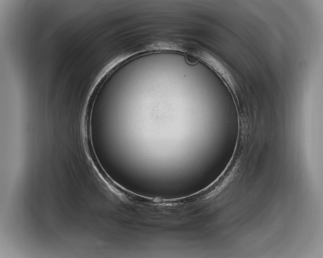X0000116881141200912221420