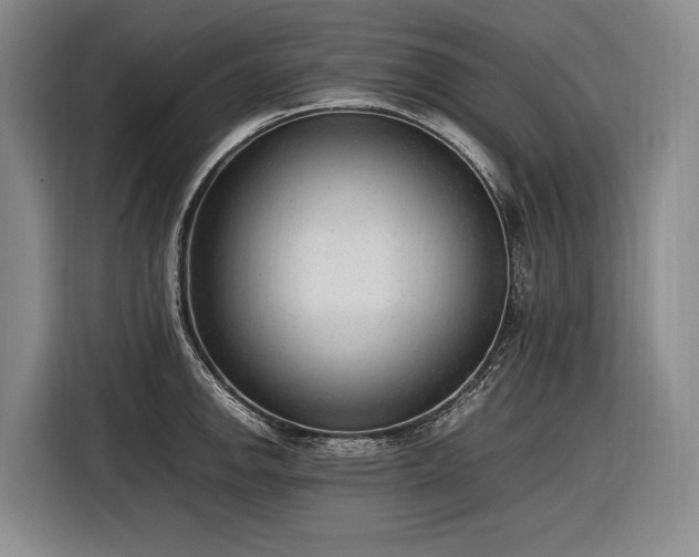 X0000116881142200912221420