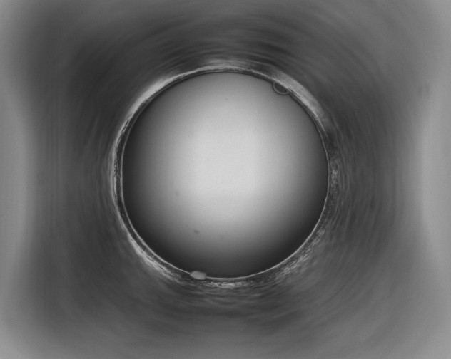 X0000116881143200912221420