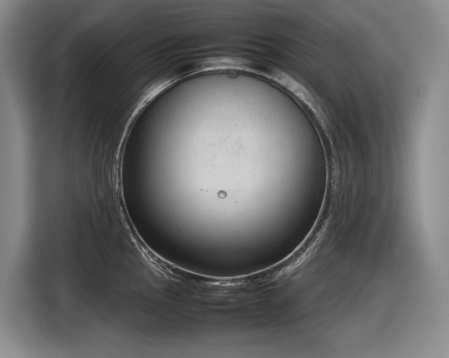 X0000116881145200912221420