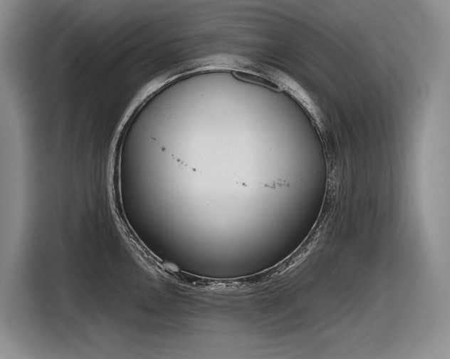 X0000116881146200912221420