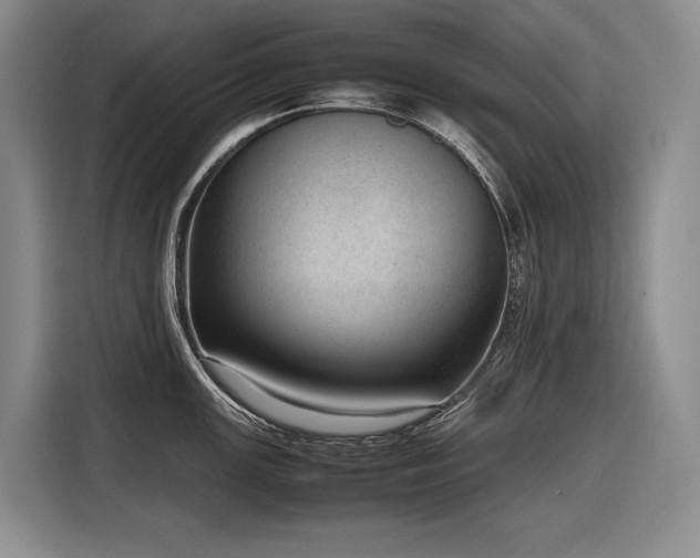X0000116881147200912221420