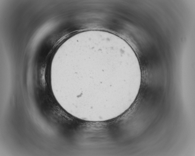 X0000116881150200912221420