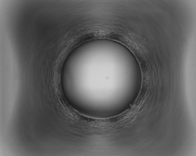 X0000116881153200912221420
