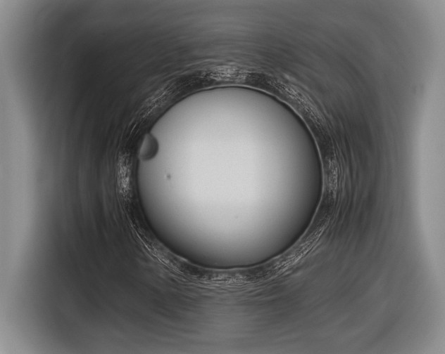 X0000116881154200912221420
