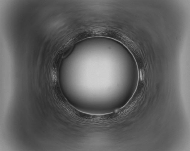 X0000116881155200912221420