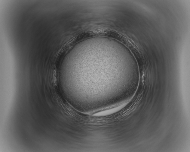 X0000116881156200912221420