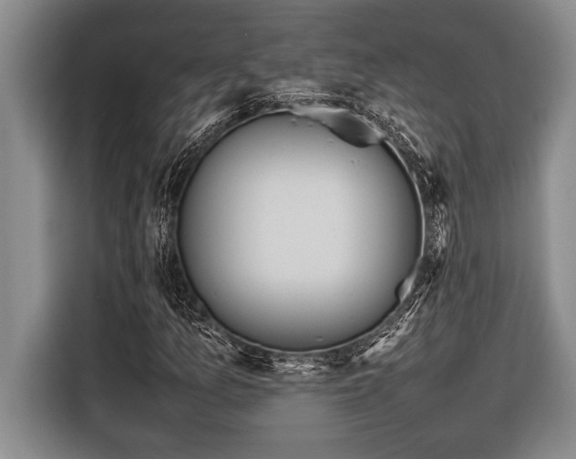 X0000116881157200912221420