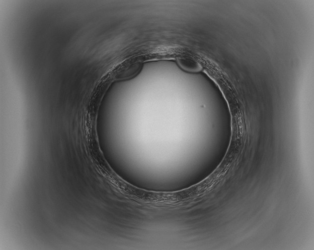 X0000116881158200912221420