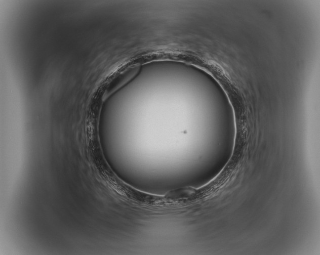 X0000116881159200912221420