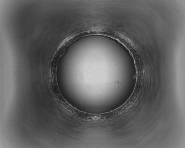 X0000116881160200912221420