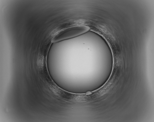X0000116881161200912221420