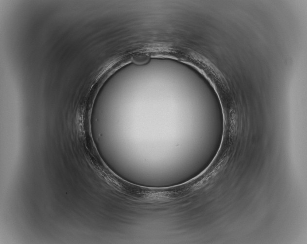 X0000116881162200912221420