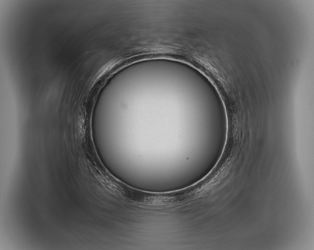 X0000116881163200912221420