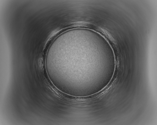 X0000116881164200912221420