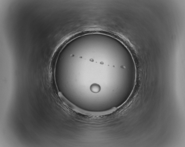 X0000116881167200912221420