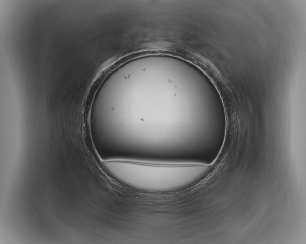 X0000116881168200912221420