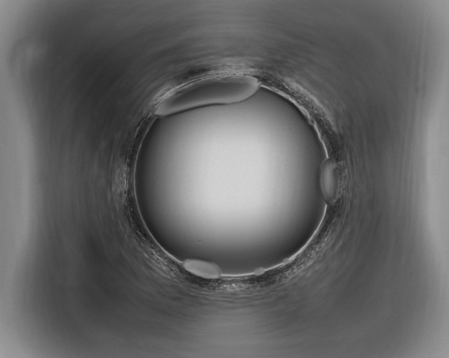 X0000116881169200912221420