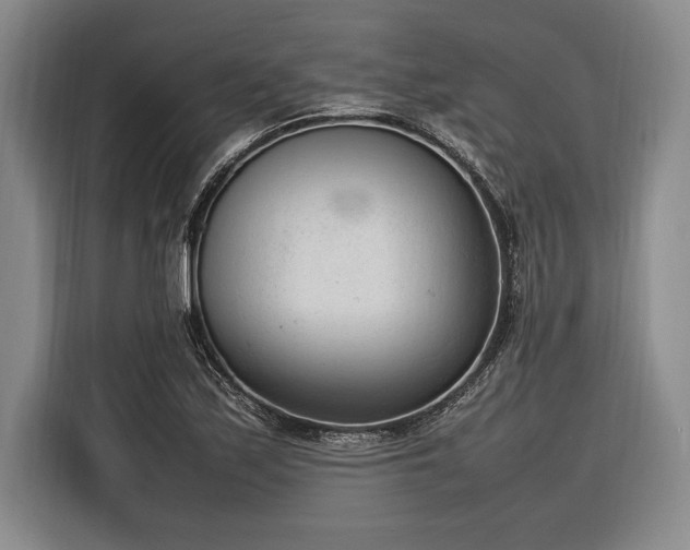 X0000116881171200912221420