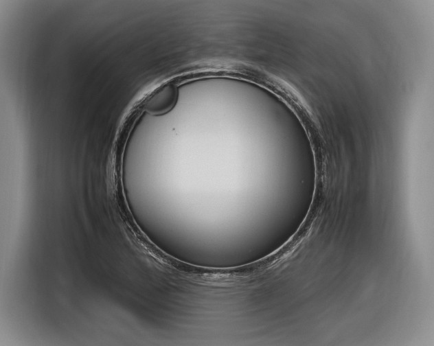 X0000116881172200912221419