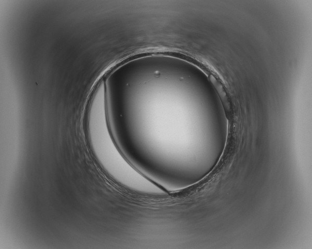 X0000116881173200912221419