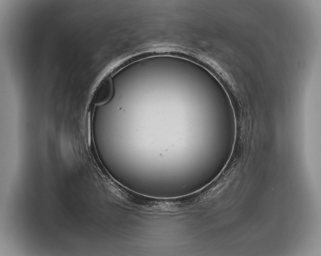 X0000116881175200912221419