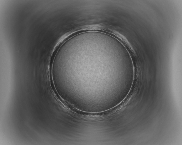 X0000116881176200912221419