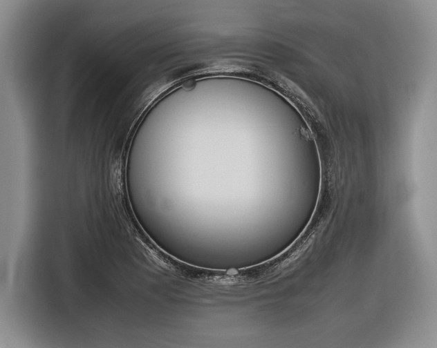 X0000116881177200912221419