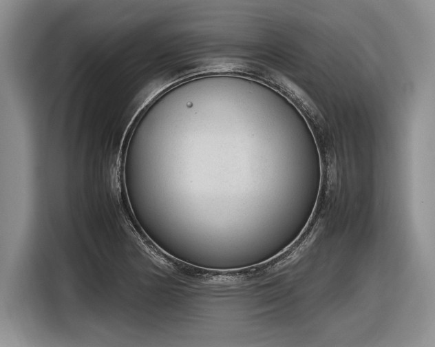 X0000116881178200912221419