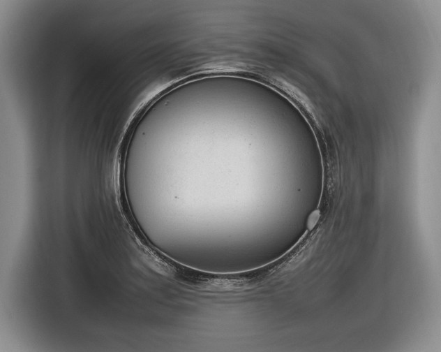 X0000116881179200912221419