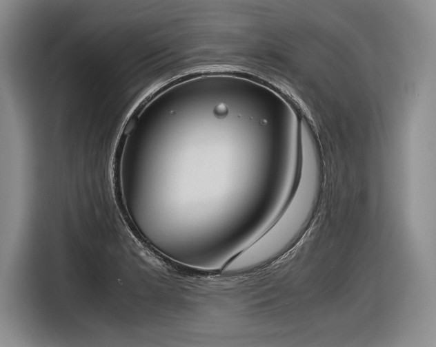 X0000116881181200912221419