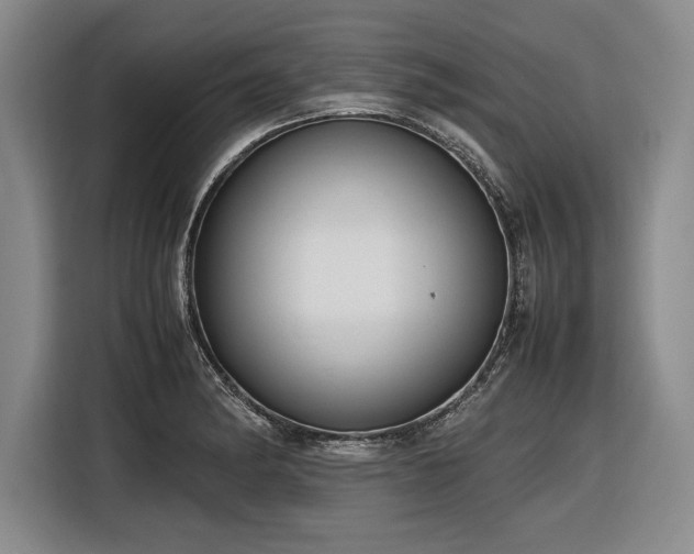 X0000116881182200912221419