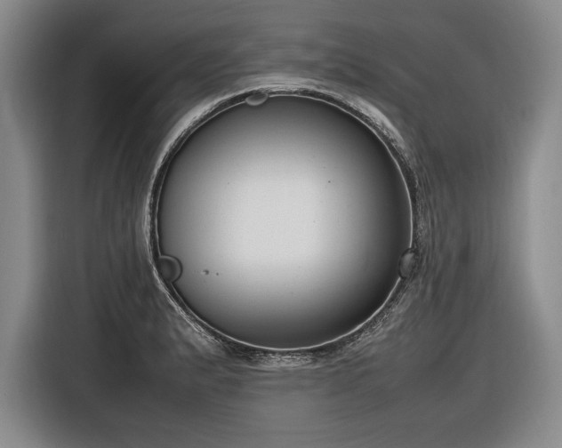 X0000116881183200912221419