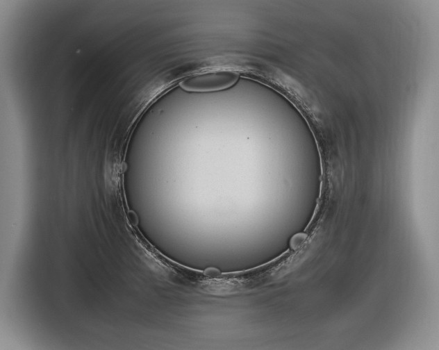 X0000116881185200912221419