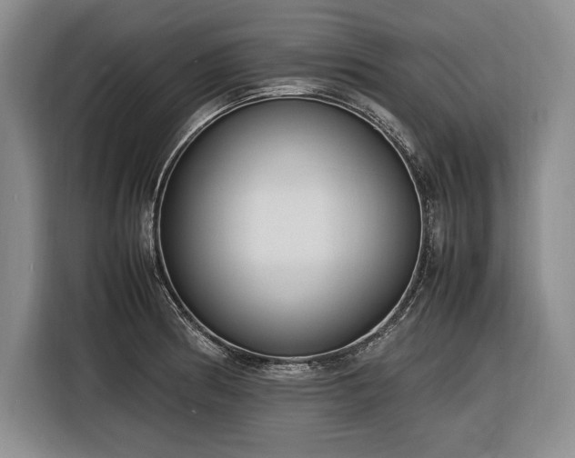 X0000116881186200912221419
