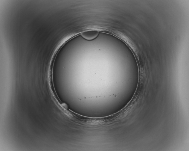 X0000116881187200912221419