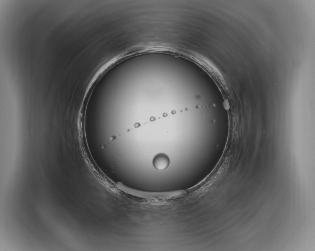 X0000116881190200912221419