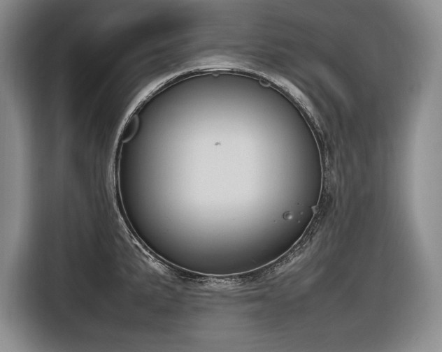 X0000116881191200912221419