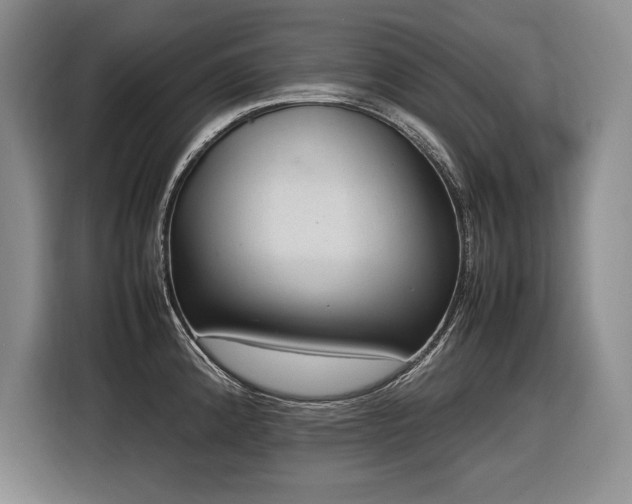 X0000116881192200912221419